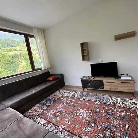 Tatil Evi Hamsiköy Vadi